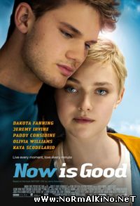 Сейчас самое время / Now Is Good (2012)